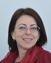 Prof. Amela Ajanovic